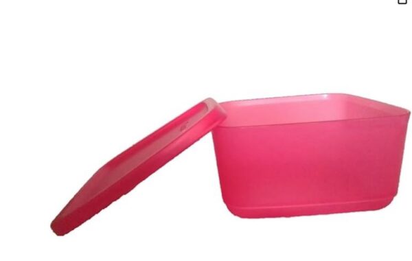 Tupperware Plastic Shbasket Fridge Containers - 650Ml, Set of 2