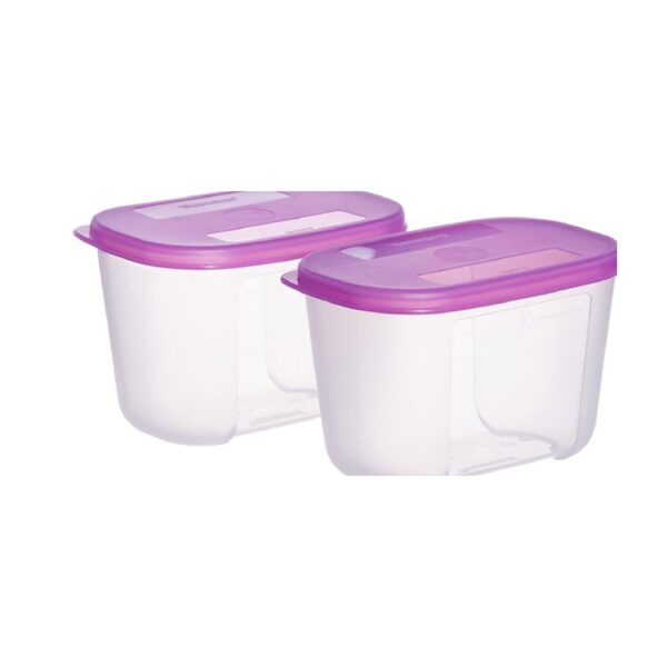 TupperwarePlastic Mini Freezer Mate Set, 300ml, Set of 2, Multicolor