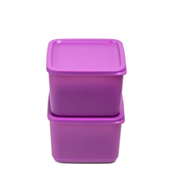 Tupperware Plastic Cubix 1L Sf2-Op Fk - Multicolor