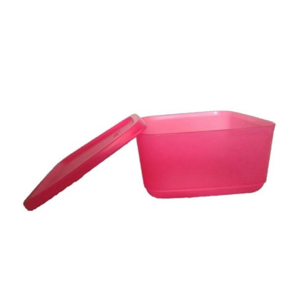 Tupperware Plastic Shbasket Fridge Containers - 650Ml, Set of 2